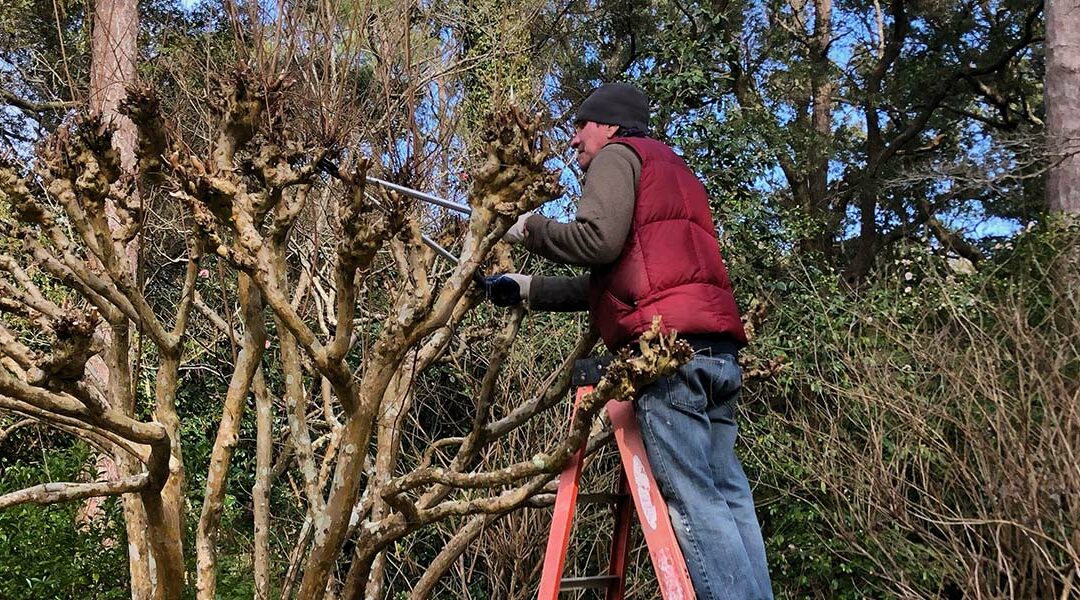 Proper Pruning Workshop