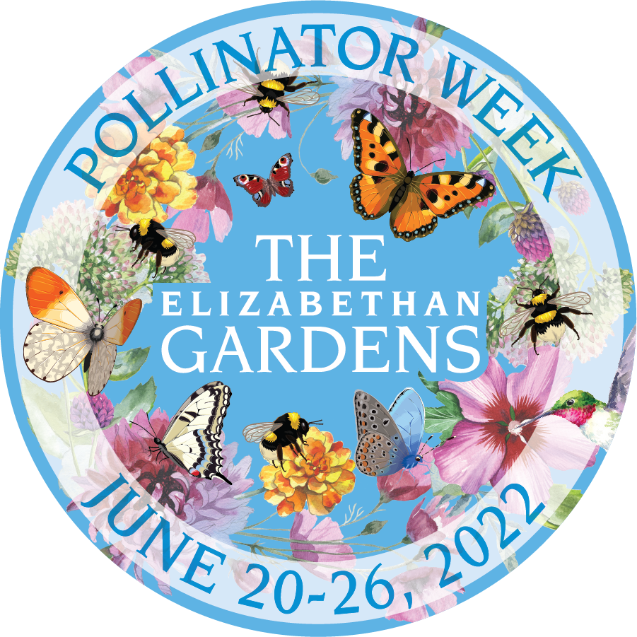Pollinator Week