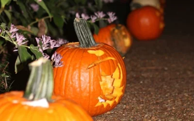 Night of 1587 Pumpkins shines brightly