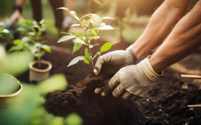 Organic and Biological Controls of Pests and Disease