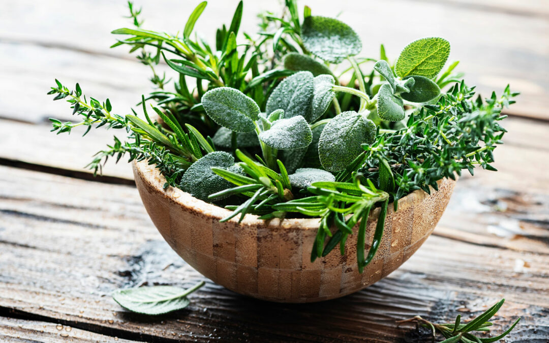 Happy Herbs Workshop
