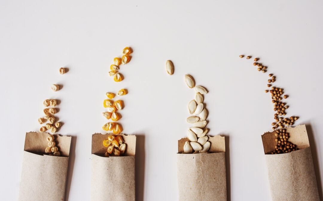 Seed Saving