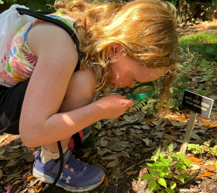 Homeschool Mornings at the Gardens