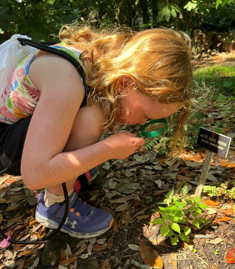 Butterfly Festival Elizabethan Gardens