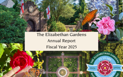 2025 Annual Report