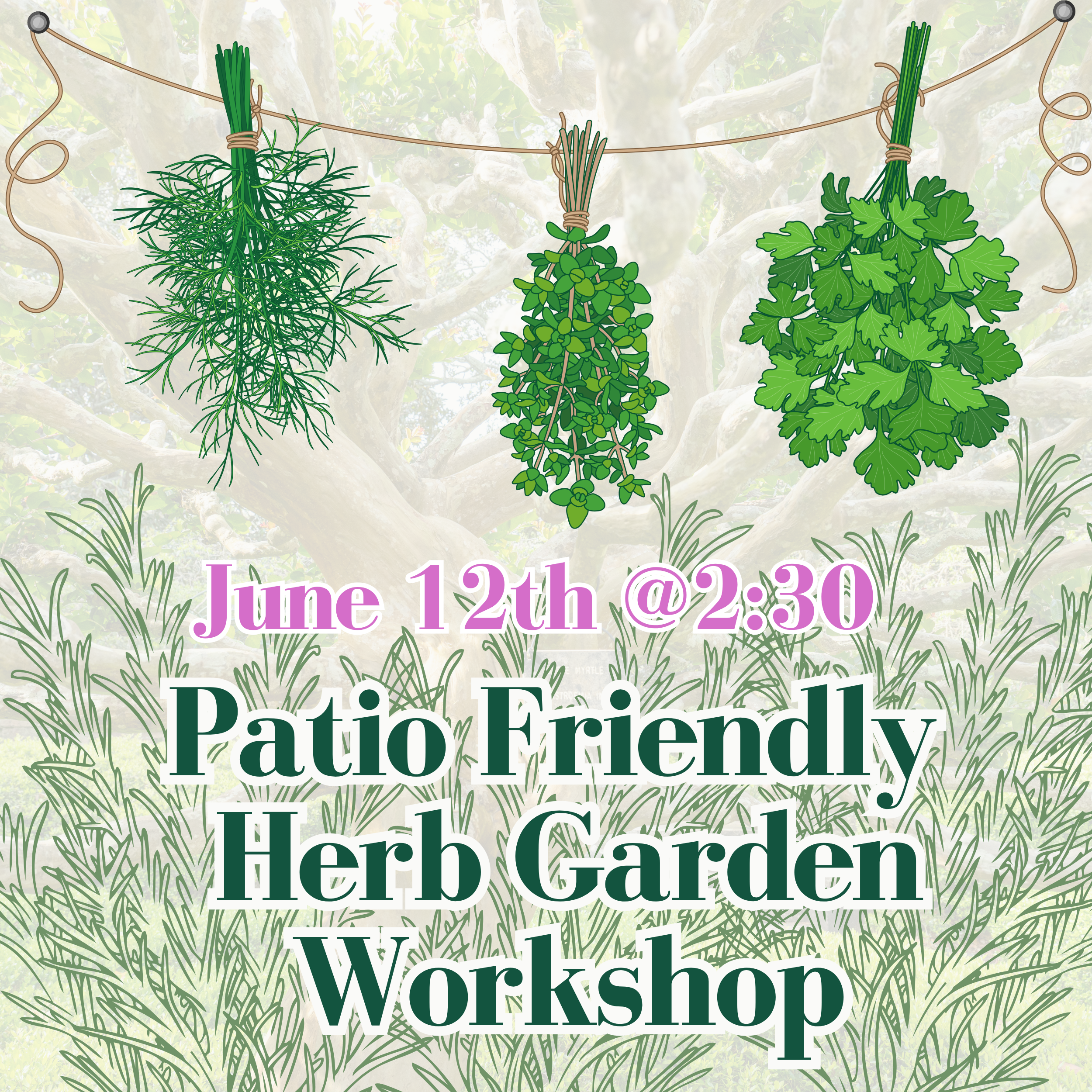 Workshop WP Images (1)